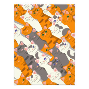 Ginger Weiße Katze Diagonalmuster Fotodruck
