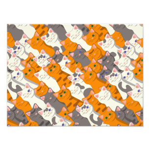 Ginger Weiße Katze Diagonalmuster Fotodruck