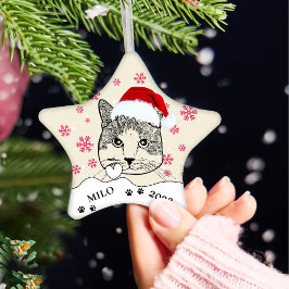 Ginger White Cat Personalisiert Hand Zeichnend Keramik Ornament