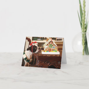 Gingerbrei House Christmas Card Boston Terrier