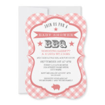 Gingham Barbecue Baby Shower Einladung / Coral