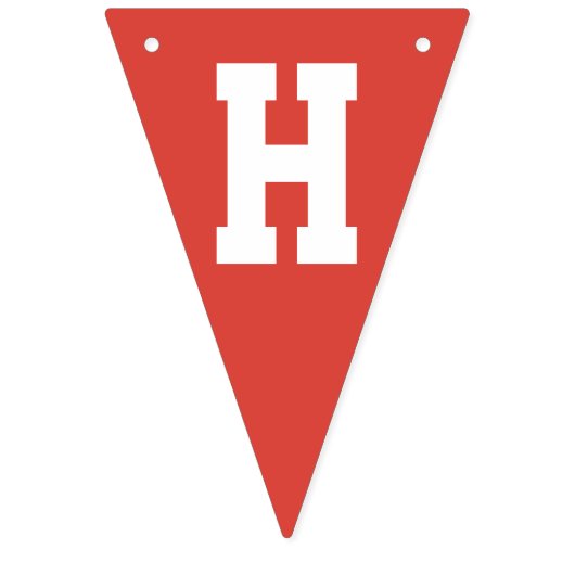 Gingham Colorful Farm Barn Happy Birthday Wimpelkette (Zweite Fahne)