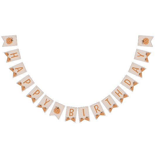 Gingham Little Pumpkin Geburtstagsbanner Schild (Alle)