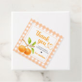 Gingham Orange Baby Shower Geschenkanhänger (Beispiel)