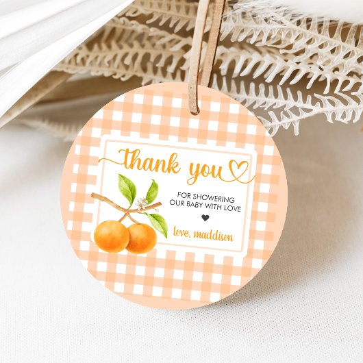 Gingham Orange Babyparty Geschenkanhänger