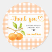 Gingham Orange Babyparty Runder Aufkleber (Vorderseite)