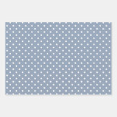 Gingham Polka Dots Dusty Blue Mix und Match Geschenkpapier Set (Vorderseite 2)