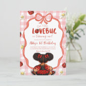 Gingham Red Ladybug 1st Birthday Invitation_ Einladung (Stehend Vorderseite)