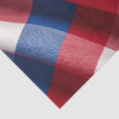 Gingham und Ruhm Seidenpapier (Ausschnitt)