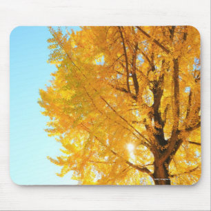 Gingko-Baum, Präfektur Nagano, Japan Mousepad