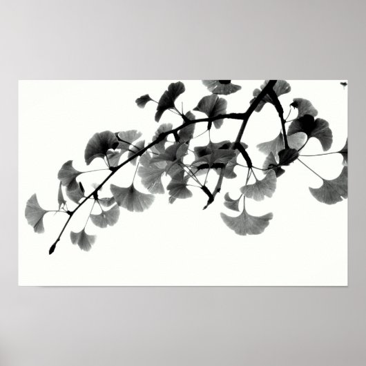 Gingko Biloba Foliage in Schwarz und Weiß Poster (Vorne)