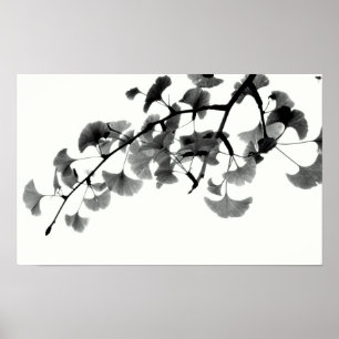 Gingko Biloba Laub in Schwarzweiss Poster
