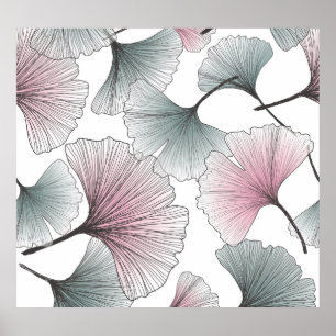 Gingko Biloba von Hand gezeichnet. Poster