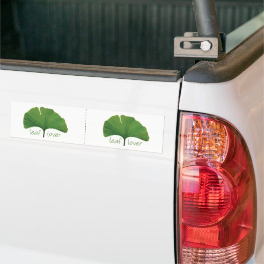 Gingko Leaf Autoaufkleber (Auf Lkw)