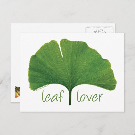 Gingko Leaf Postkarte (Vorne/Hinten)
