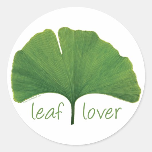 Gingko Leaf Runder Aufkleber (Vorderseite)