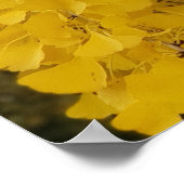 Gingko Tree im Herbst Poster (Ecke)