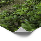 GINKAKU-JI ZEN TEMPLE POSTER (Ecke)