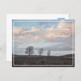 Ginkel Heath, Ede, Niederlande Landschaft Postkarte