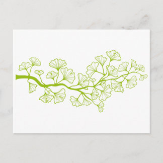 Ginkgo-Baum mit grünen Blätter Postkarte