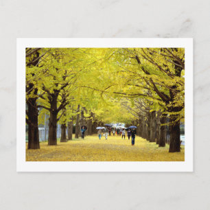 Ginkgo-Bäume: Showa Kinen Park, Tokio Postkarte