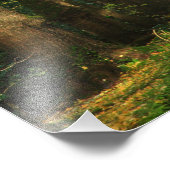 Ginkgo Biloba-Bäume Fotodruck (Ecke)