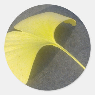 Ginkgo Biloba Blatt-Aufkleber Runder Aufkleber