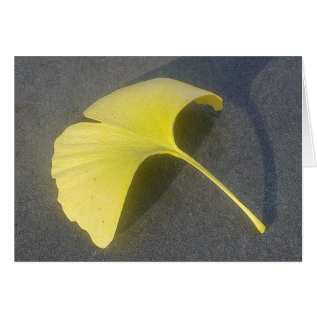Ginkgo Biloba Blatt-Karte (Vorderseite (Horizontal))