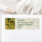 Ginkgo-Biloba-Blätter (Insitu)