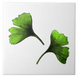 Ginkgo Biloba Blätter Botanische Kunst Fliese