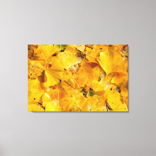 Ginkgo Biloba Blätter Leinwanddruck (Vorderseite)