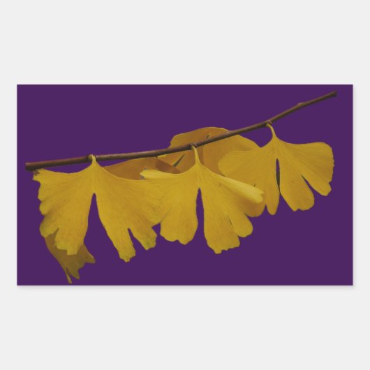 Ginkgo Biloba Blätter Sticker (Vorderseite)