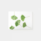 Ginkgo Biloba Leaf gegen weißen Hintergrund Post-it Klebezettel (Vorderseite)