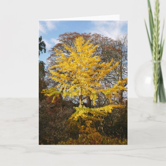 Ginkgo Biloba Tree Card Karte (Vorderseite)