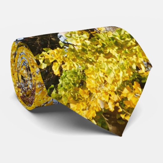 Ginkgo Biloba Tree Krawatte (Gerollt)