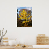 Ginkgo Biloba Tree Poster (Küche)