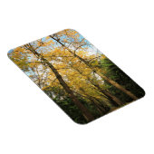 Ginkgo-Bilobäume Magnet (Rechte Seite)