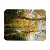 Ginkgo-Bilobäume Magnet (Horizontal)