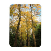 Ginkgo-Bilobäume Magnet (Vertikal)