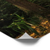 Ginkgo-Bilobäume Poster (Ecke)