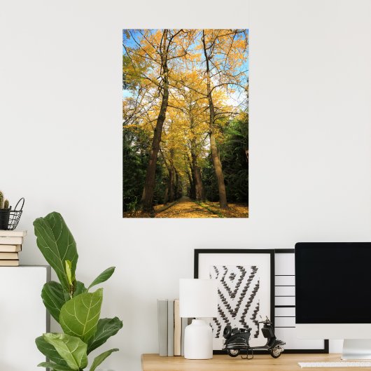 Ginkgo-Bilobäume Poster (Heimbüro)
