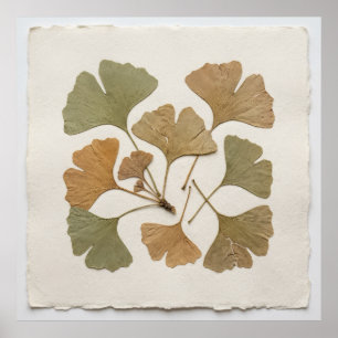 Ginkgo-Blatt-Botanikposter Poster