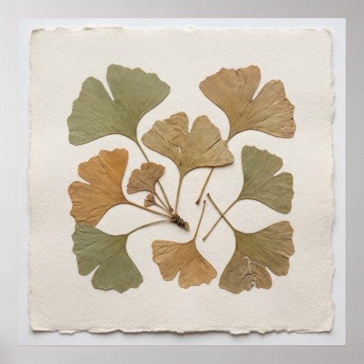 Ginkgo-Blatt-Botanikposter Poster (Vorne)