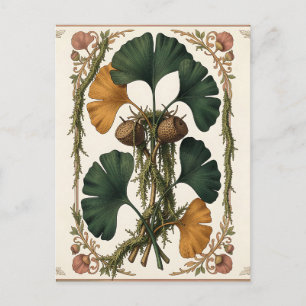 Ginkgo-Blatt-Eichel-Botanik-Rahmen Postkarte