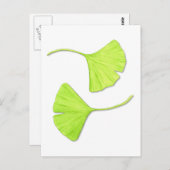 Ginkgo Blätter Botanische Kunst Postkarte (Vorne/Hinten)