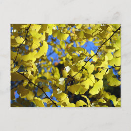 Ginkgo-Blätter Ende Herbst: Japan Postkarte