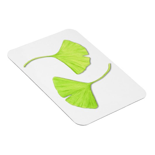 Ginkgo Blätter Flexi Magnet (Rechte Seite)
