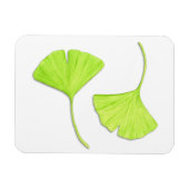 Ginkgo Blätter Flexi Magnet (Horizontal)