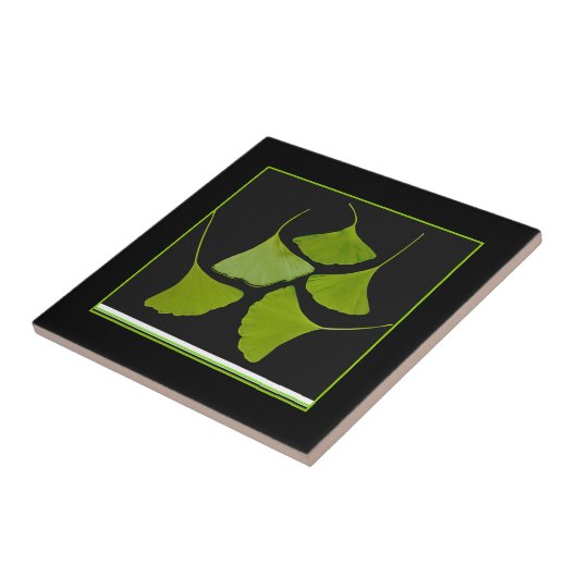 Ginkgo-Blätter Fliese (Seite)