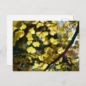 Ginkgo-Blätter im Herbst: Japan Postkarte (Vorne/Hinten)